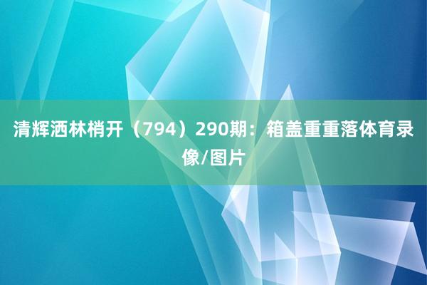 清辉洒林梢开（794）　　290期：箱盖重重落体育录像/图片