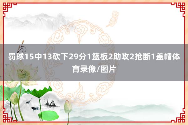 罚球15中13砍下29分1篮板2助攻2抢断1盖帽体育录像/图片
