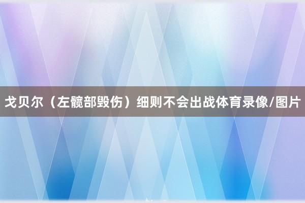 戈贝尔（左髋部毁伤）细则不会出战体育录像/图片