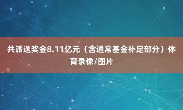 共派送奖金8.11亿元（含通常基金补足部分）体育录像/图片