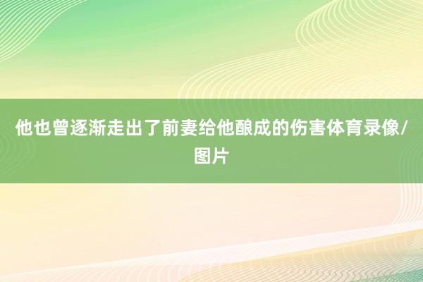 他也曾逐渐走出了前妻给他酿成的伤害体育录像/图片