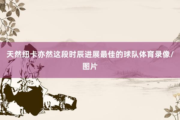 天然纽卡亦然这段时辰进展最佳的球队体育录像/图片