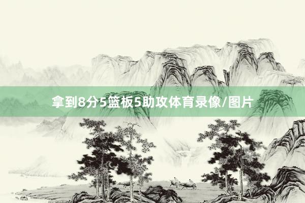 拿到8分5篮板5助攻体育录像/图片