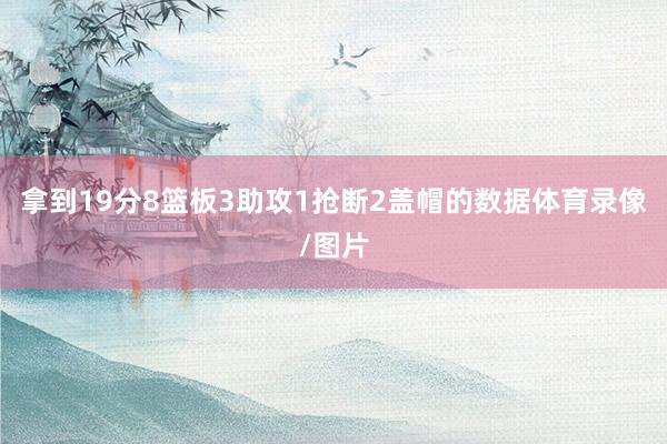 拿到19分8篮板3助攻1抢断2盖帽的数据体育录像/图片