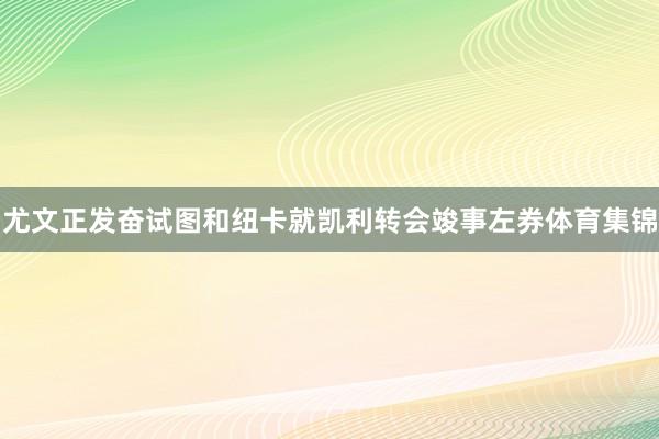 尤文正发奋试图和纽卡就凯利转会竣事左券体育集锦