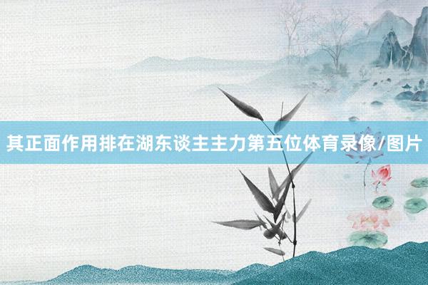 其正面作用排在湖东谈主主力第五位体育录像/图片