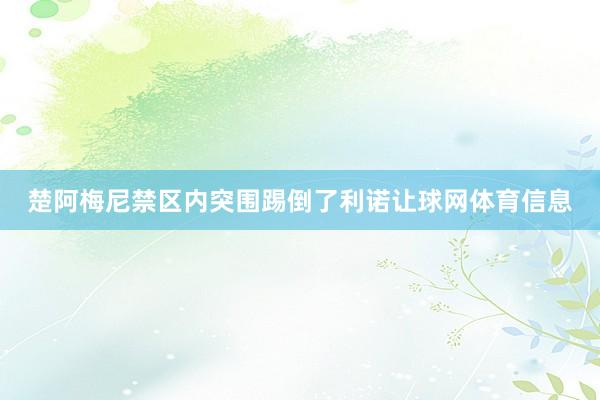 楚阿梅尼禁区内突围踢倒了利诺让球网体育信息