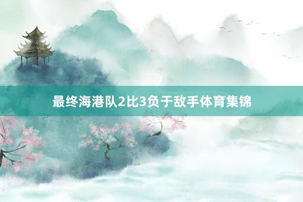 最终海港队2比3负于敌手体育集锦