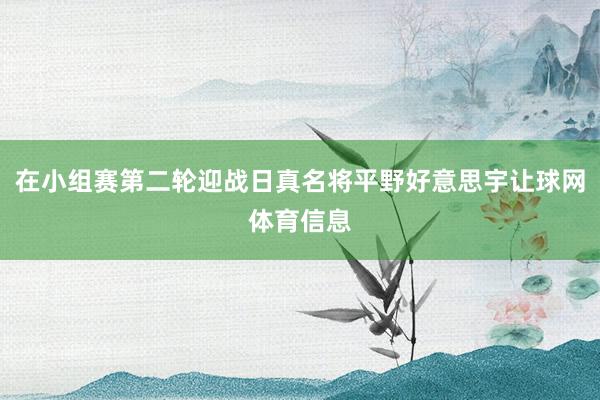 在小组赛第二轮迎战日真名将平野好意思宇让球网体育信息