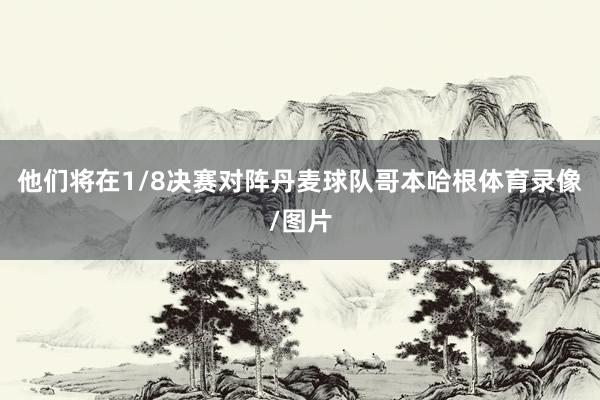 他们将在1/8决赛对阵丹麦球队哥本哈根体育录像/图片