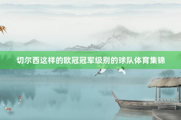 切尔西这样的欧冠冠军级别的球队体育集锦