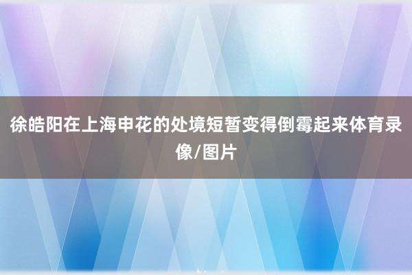 徐皓阳在上海申花的处境短暂变得倒霉起来体育录像/图片