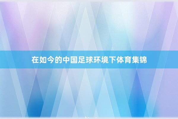 在如今的中国足球环境下体育集锦