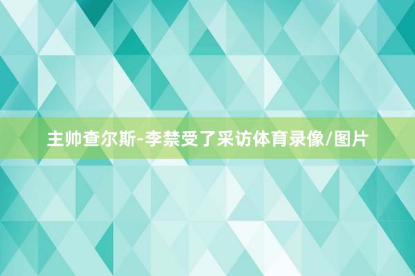 主帅查尔斯-李禁受了采访体育录像/图片