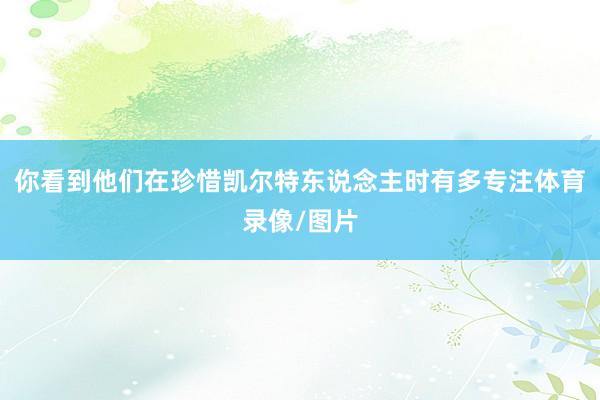 你看到他们在珍惜凯尔特东说念主时有多专注体育录像/图片