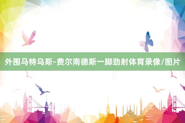 外围马特乌斯-费尔南德斯一脚劲射体育录像/图片