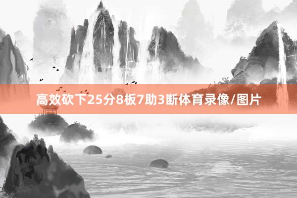 高效砍下25分8板7助3断体育录像/图片