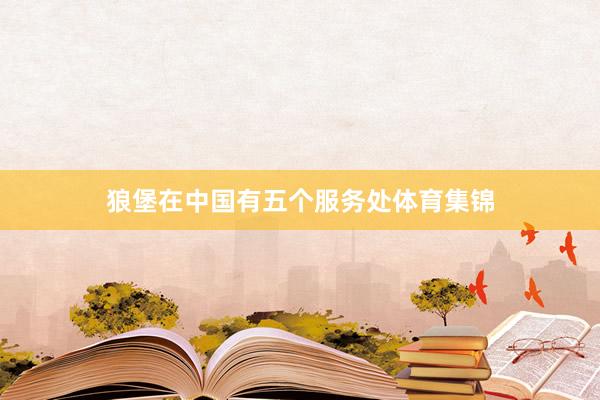 狼堡在中国有五个服务处体育集锦
