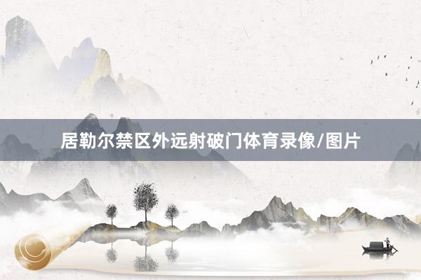 居勒尔禁区外远射破门体育录像/图片