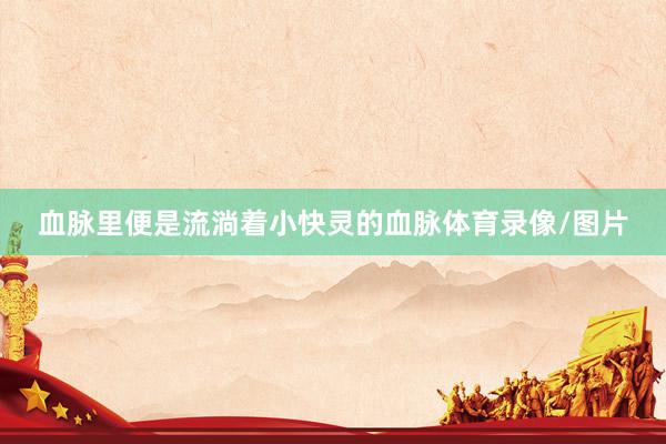 血脉里便是流淌着小快灵的血脉体育录像/图片