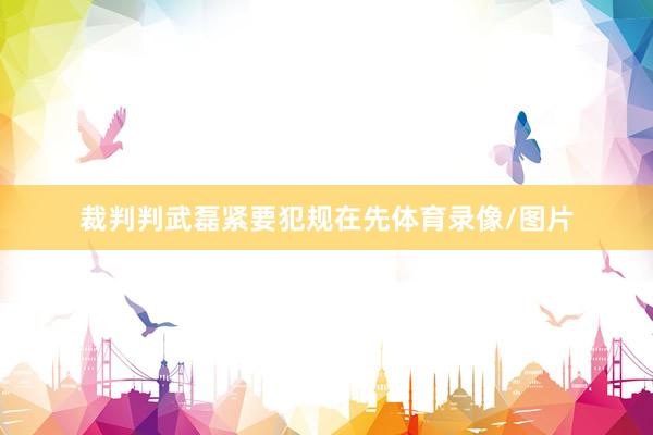 裁判判武磊紧要犯规在先体育录像/图片