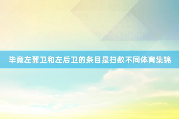 毕竟左翼卫和左后卫的条目是扫数不同体育集锦