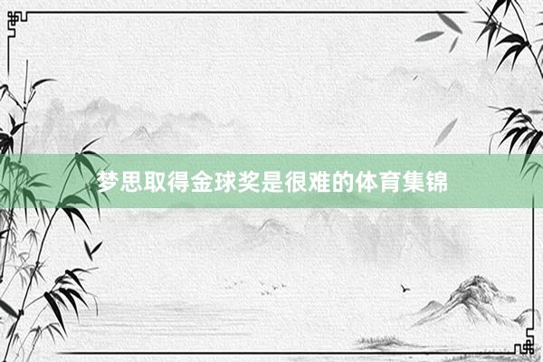 梦思取得金球奖是很难的体育集锦