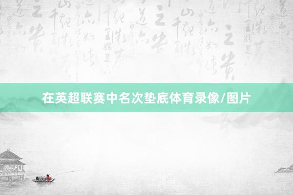 在英超联赛中名次垫底体育录像/图片