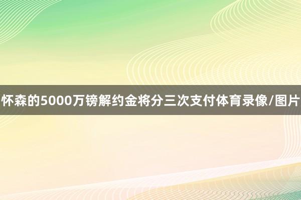 怀森的5000万镑解约金将分三次支付体育录像/图片