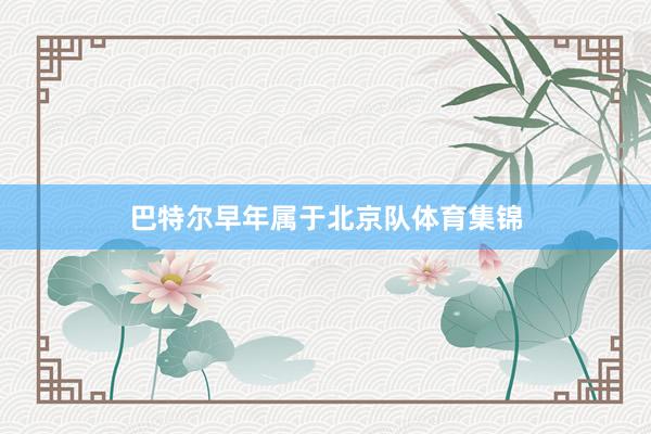 巴特尔早年属于北京队体育集锦