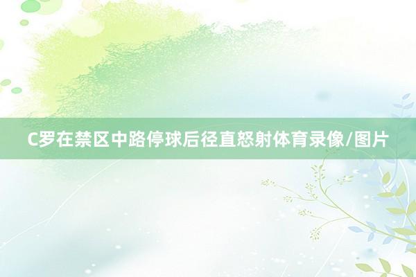 C罗在禁区中路停球后径直怒射体育录像/图片