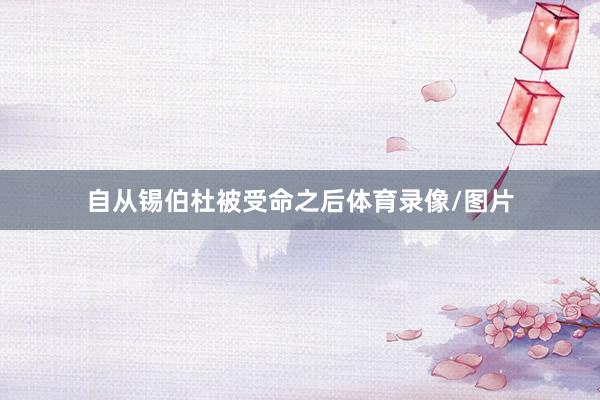 自从锡伯杜被受命之后体育录像/图片
