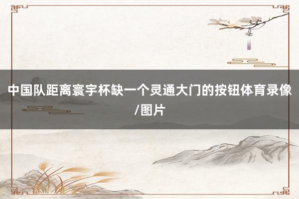中国队距离寰宇杯缺一个灵通大门的按钮体育录像/图片