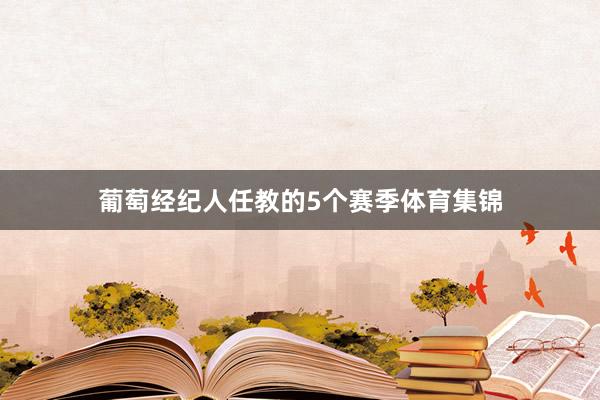 葡萄经纪人任教的5个赛季体育集锦