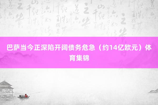 巴萨当今正深陷开阔债务危急（约14亿欧元）体育集锦