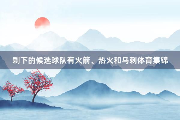 剩下的候选球队有火箭、热火和马刺体育集锦