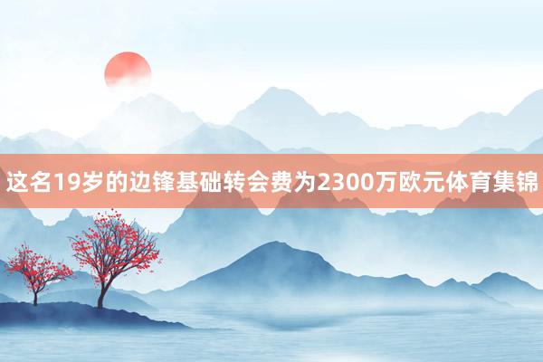 这名19岁的边锋基础转会费为2300万欧元体育集锦