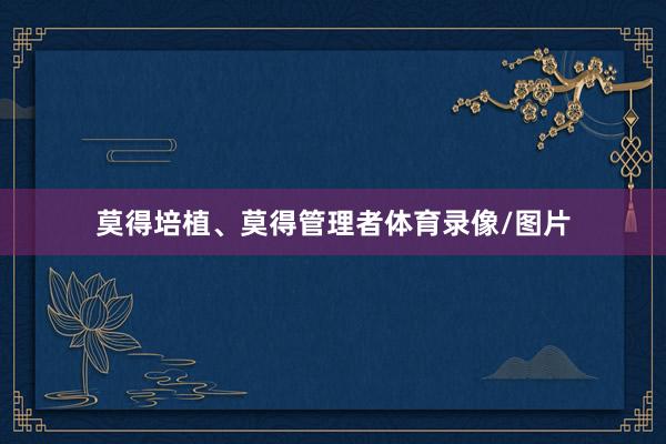 莫得培植、莫得管理者体育录像/图片