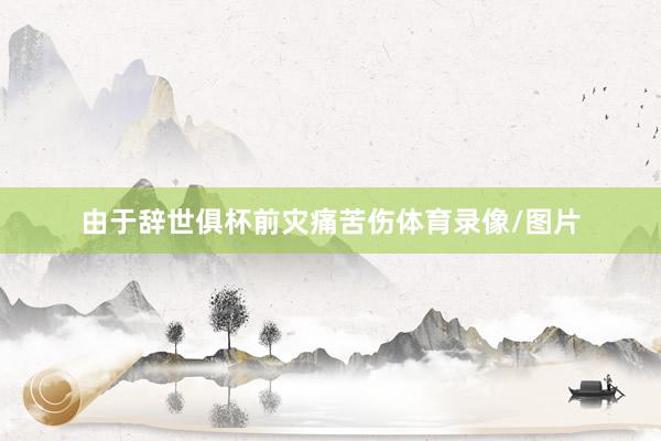 由于辞世俱杯前灾痛苦伤体育录像/图片