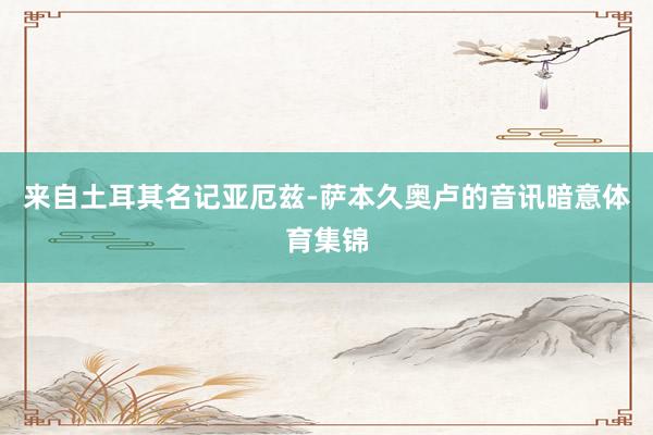 来自土耳其名记亚厄兹-萨本久奥卢的音讯暗意体育集锦