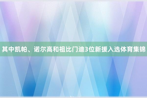 其中凯帕、诺尔高和祖比门迪3位新援入选体育集锦