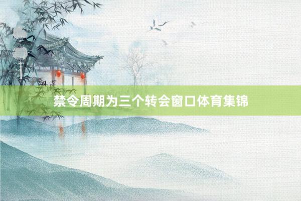 禁令周期为三个转会窗口体育集锦