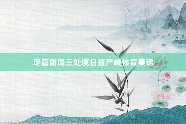 尽管谢周三处境日益严峻体育集锦
