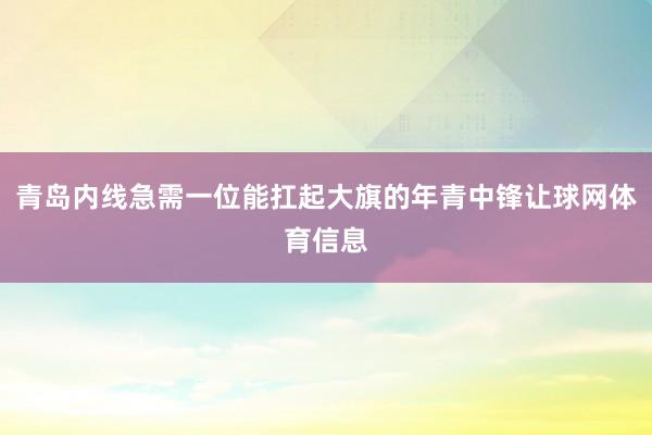 青岛内线急需一位能扛起大旗的年青中锋让球网体育信息