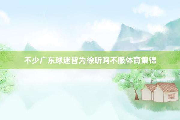 不少广东球迷皆为徐昕鸣不服体育集锦