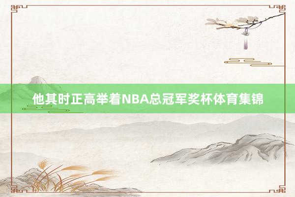 他其时正高举着NBA总冠军奖杯体育集锦