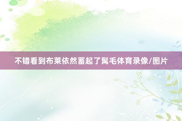 不错看到布莱依然蓄起了髯毛体育录像/图片