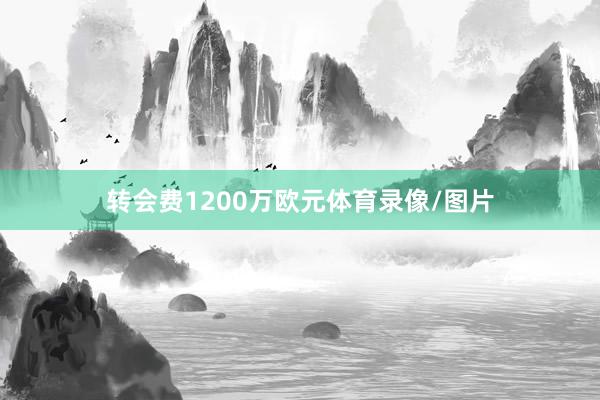 转会费1200万欧元体育录像/图片