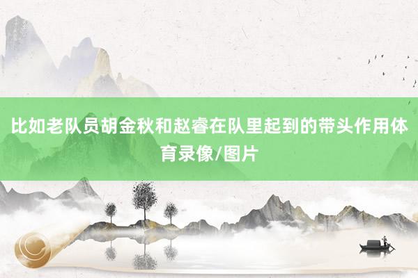 比如老队员胡金秋和赵睿在队里起到的带头作用体育录像/图片