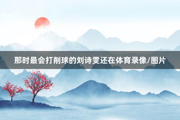 那时最会打削球的刘诗雯还在体育录像/图片